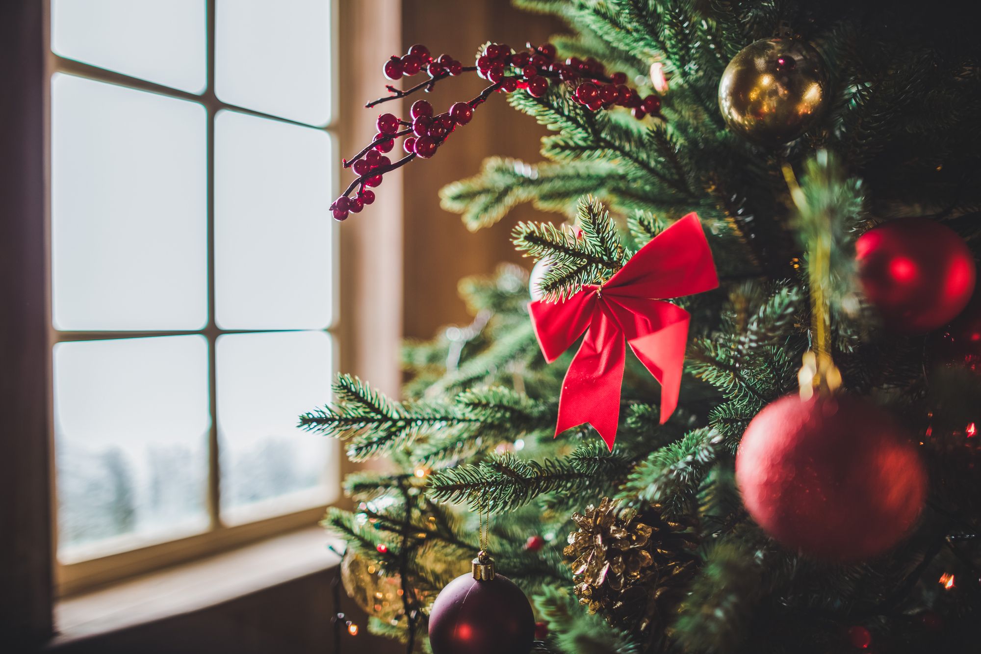 immonews-weihnachten