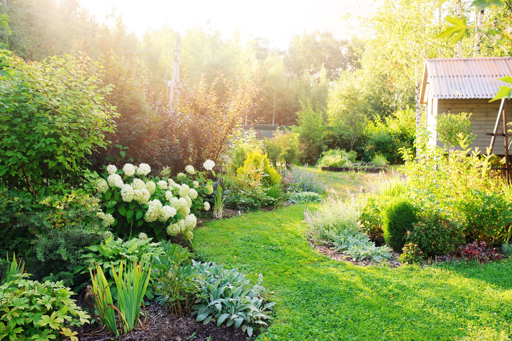 immonews-garten-sommer