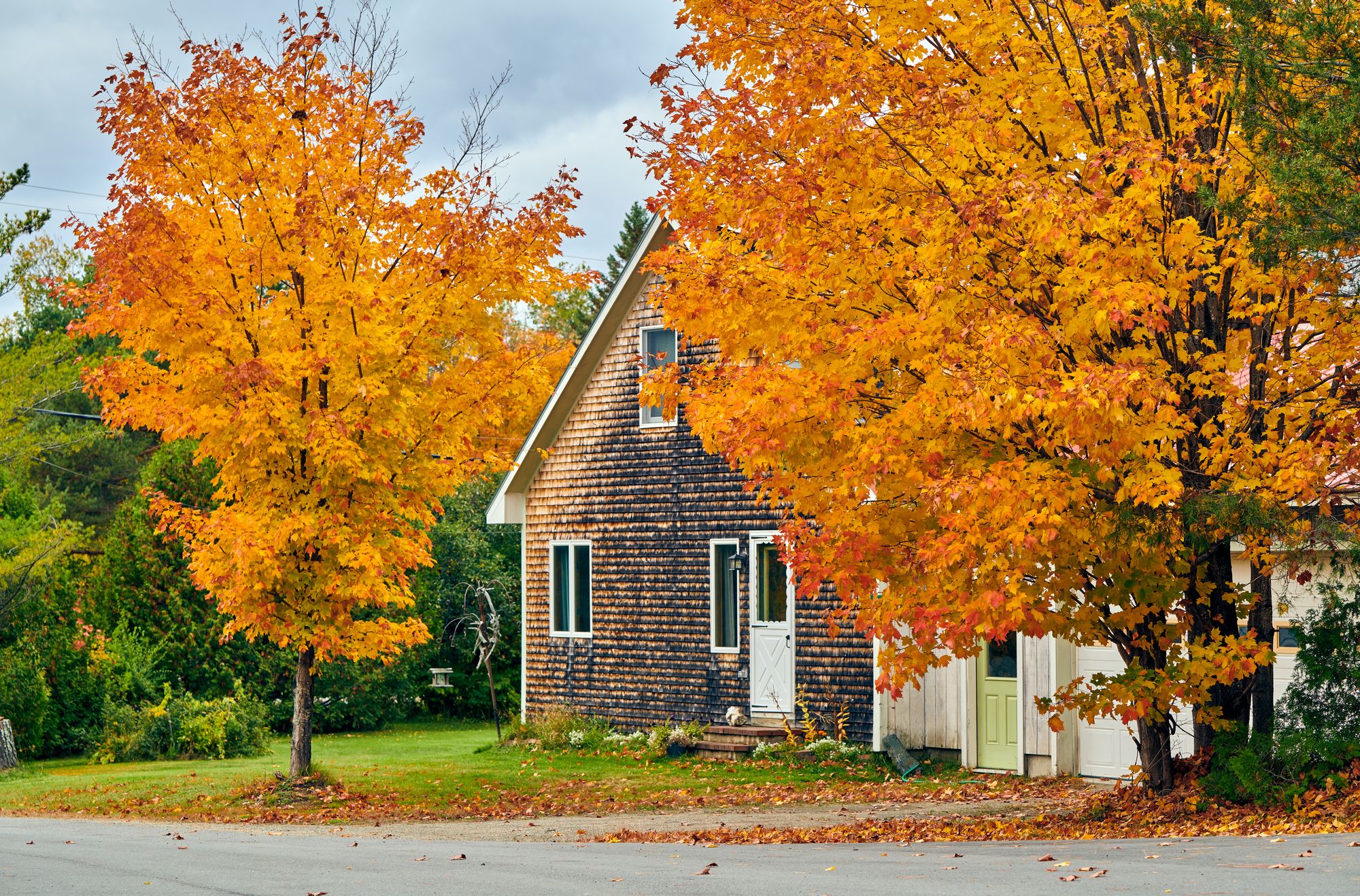 immonews-herbst-haus